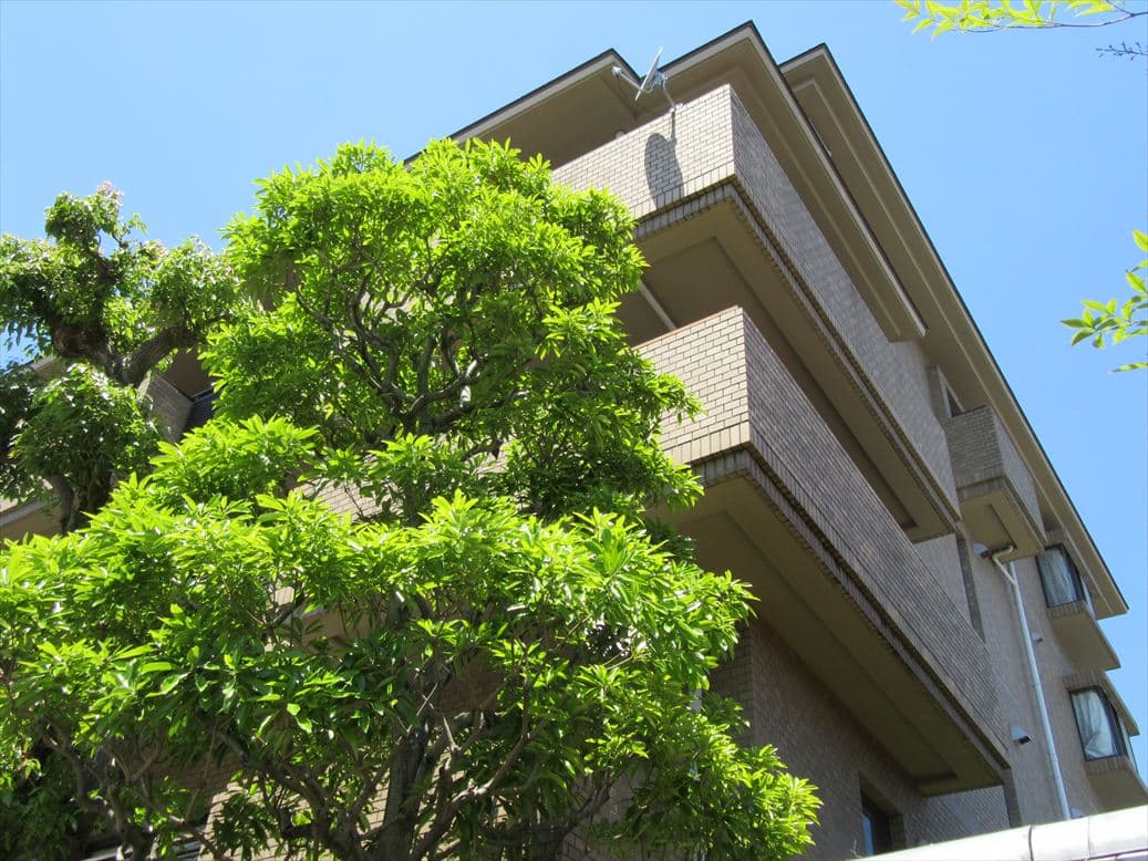パレロワイヤル聖護院　外観