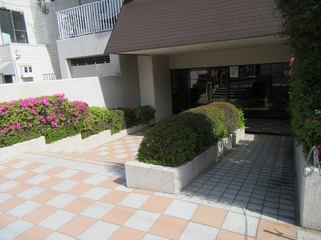 ハイツ白川　外観