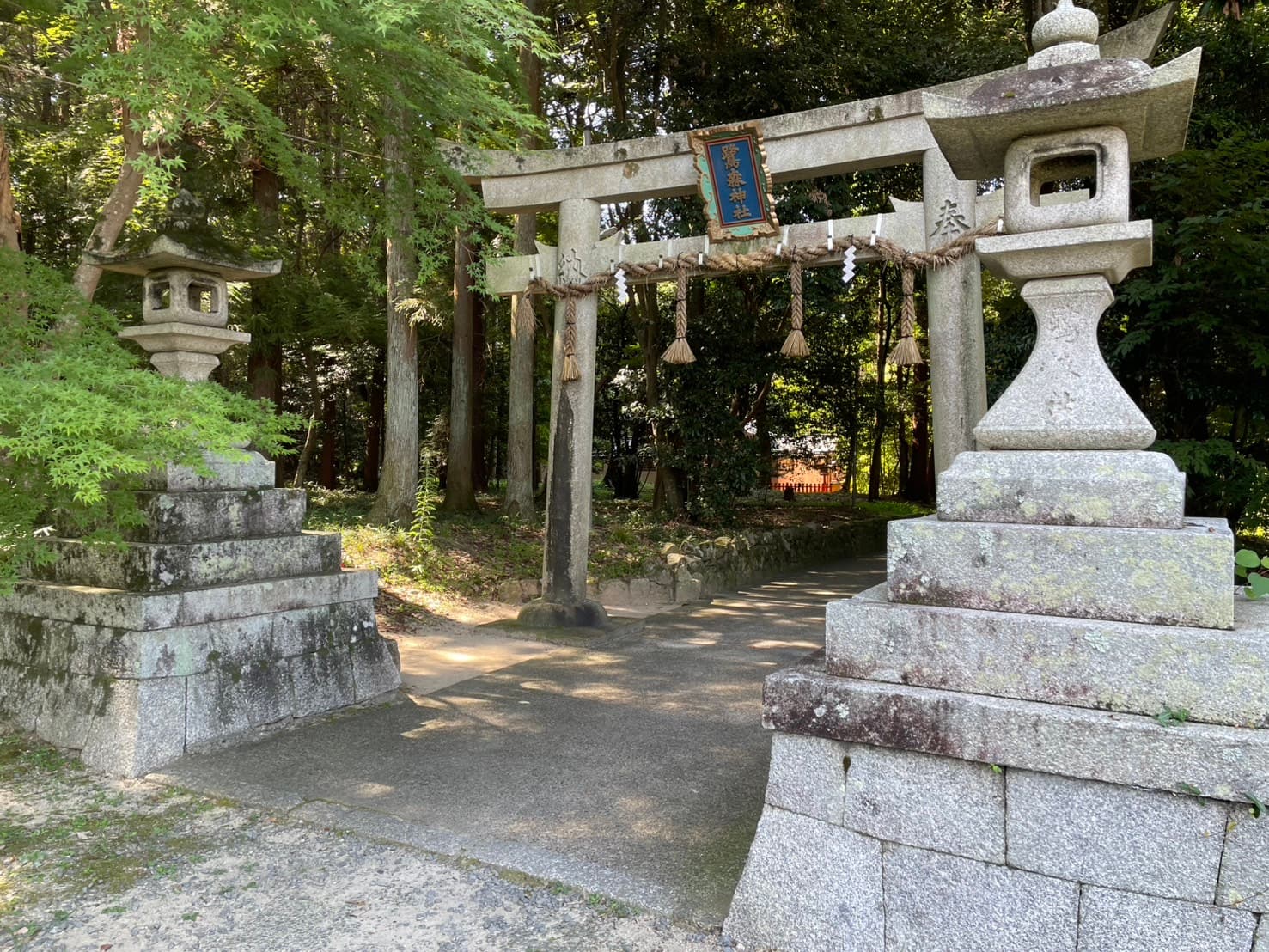 左京区に根差し、暮らしを豊かにする「テライズホーム」がご提案する、鷺森神社で叶える理想の住まい