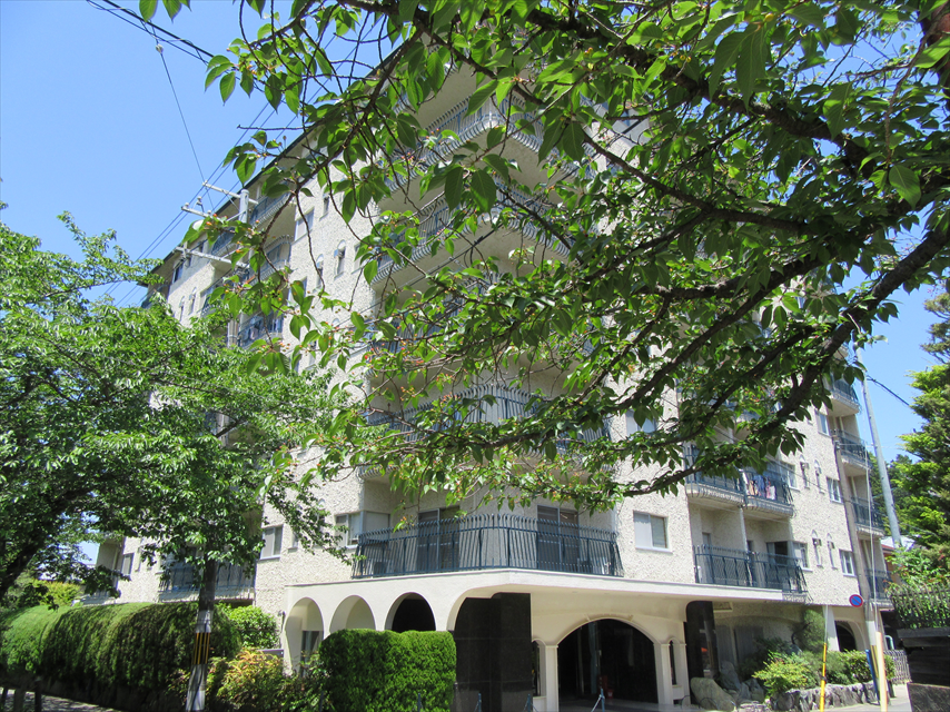 シャトー銀閣の外観