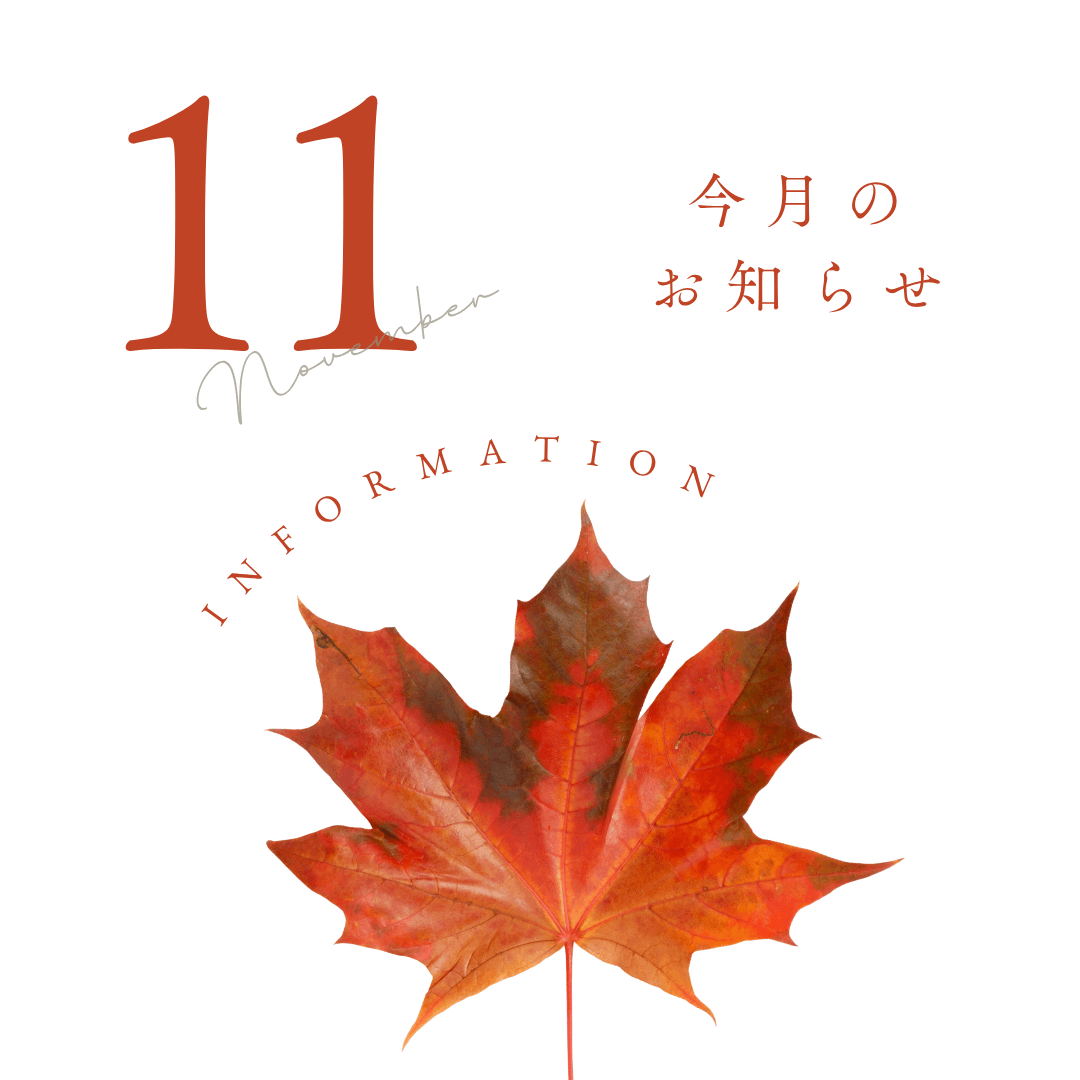 左京区の秋を照らす紅の絶景：永観堂ライトアップ＆夜間特別拝観で感じる“もみじの京都”の心