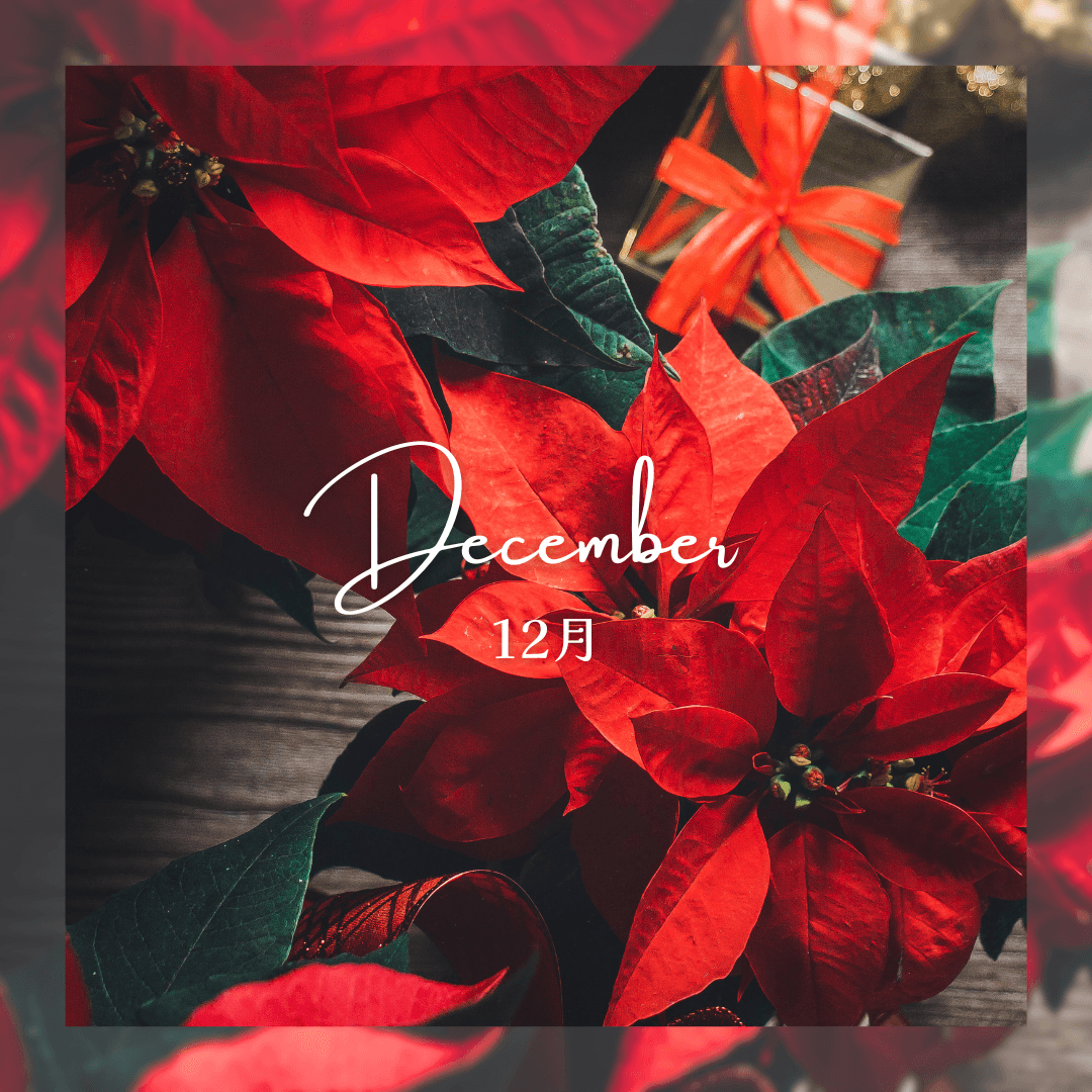 左京区のイベント情報 12月