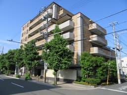 【左京区下鴨西林町｜ルイシャトレ下鴨本通】糺の森の真向かいに暮らす。京都の自然と利便性が調和するの画像